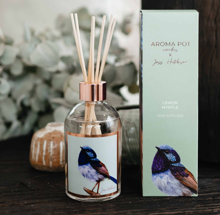 Candles & Fragrance