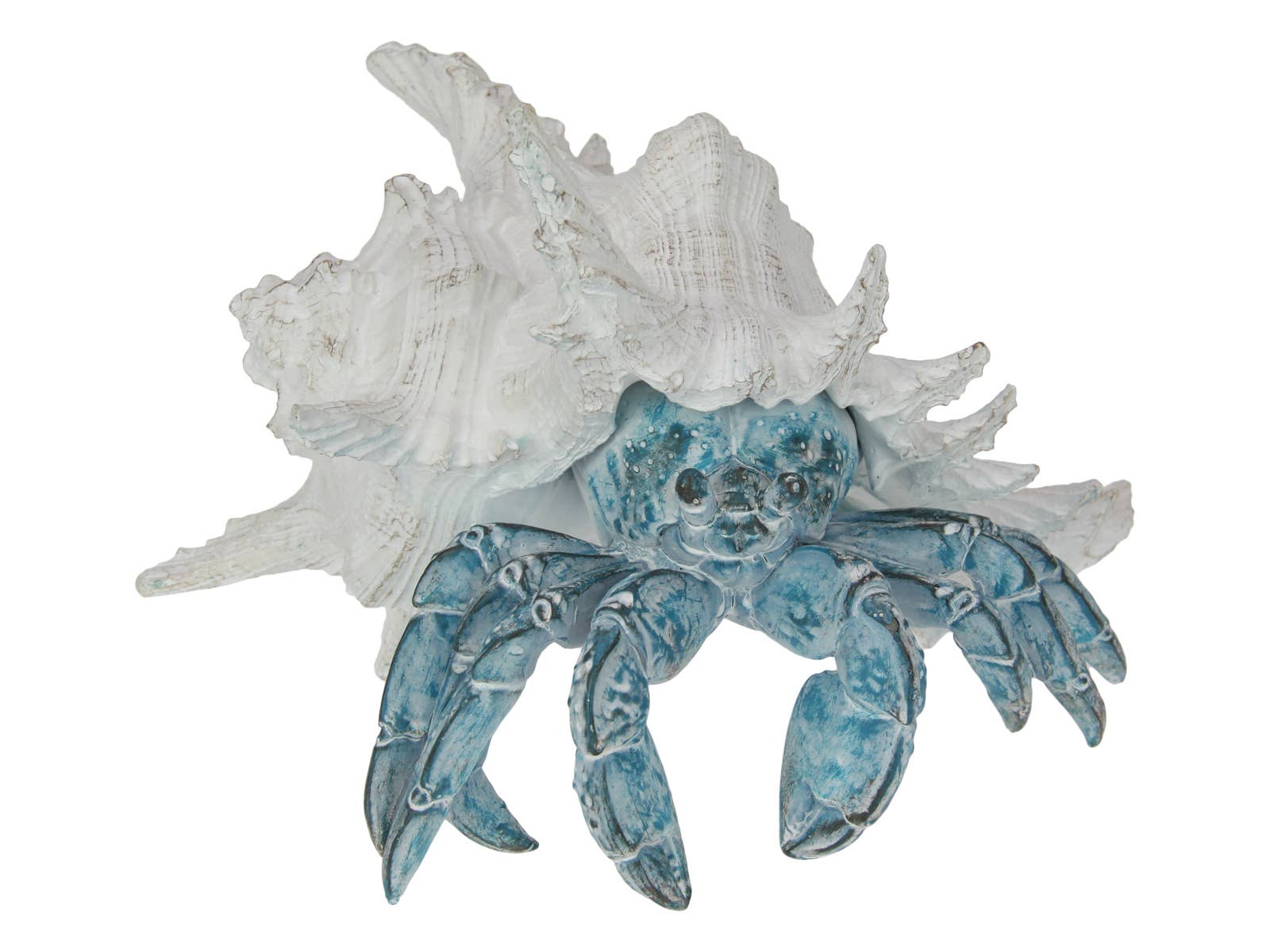 20cm Crab in Shell with Blue & White Coral Design - Land to Coast