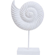 Shell on Stand Sculpture Coastal Gift 21x6x36cm