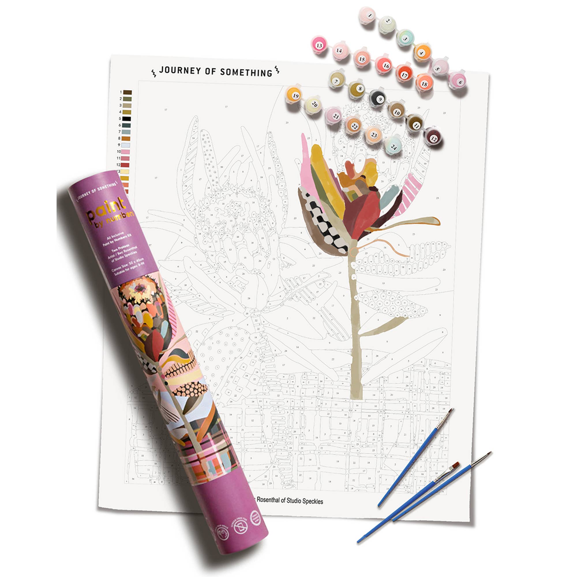 Paint by Numbers - Two Proteas  x Canvas 1 x Set of Paints 1 x Brush 1 x Set