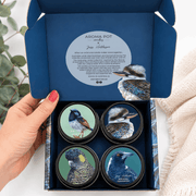 Australian 4 x candle gift pack | Birds | 60+hrs