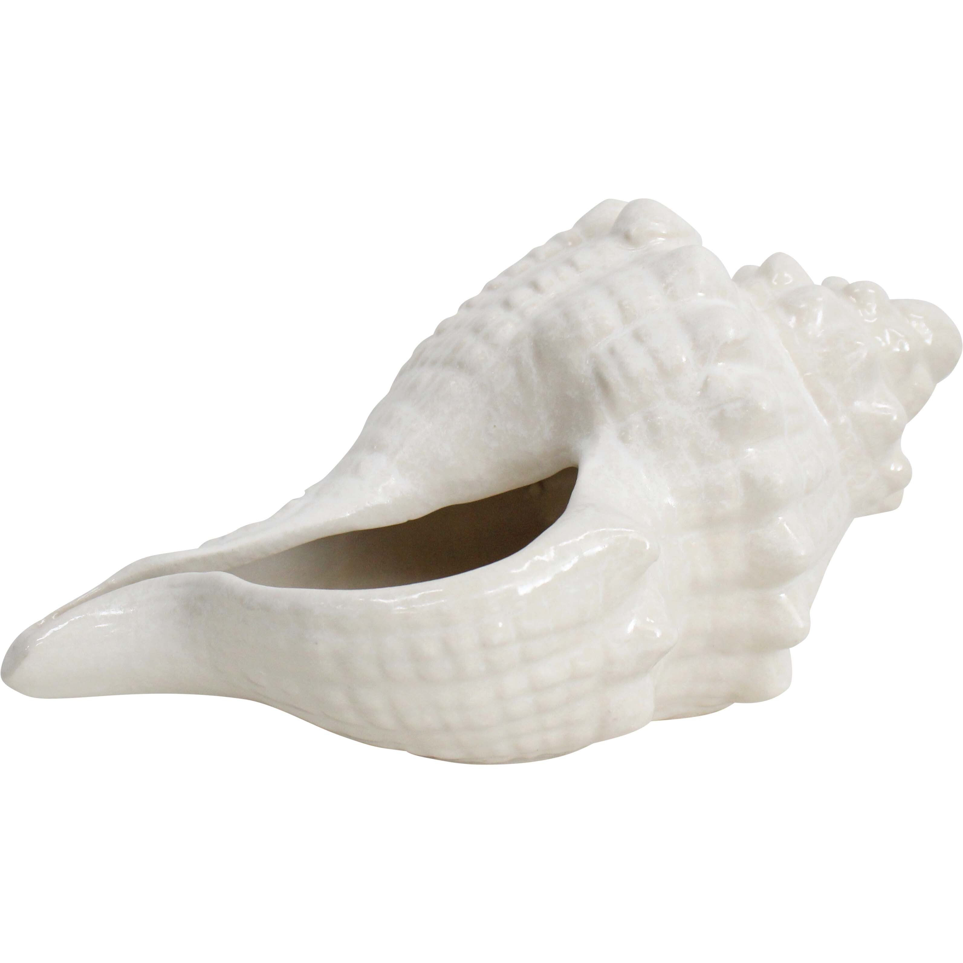 Shell Conoch Rustic Ivory Coastal Gift