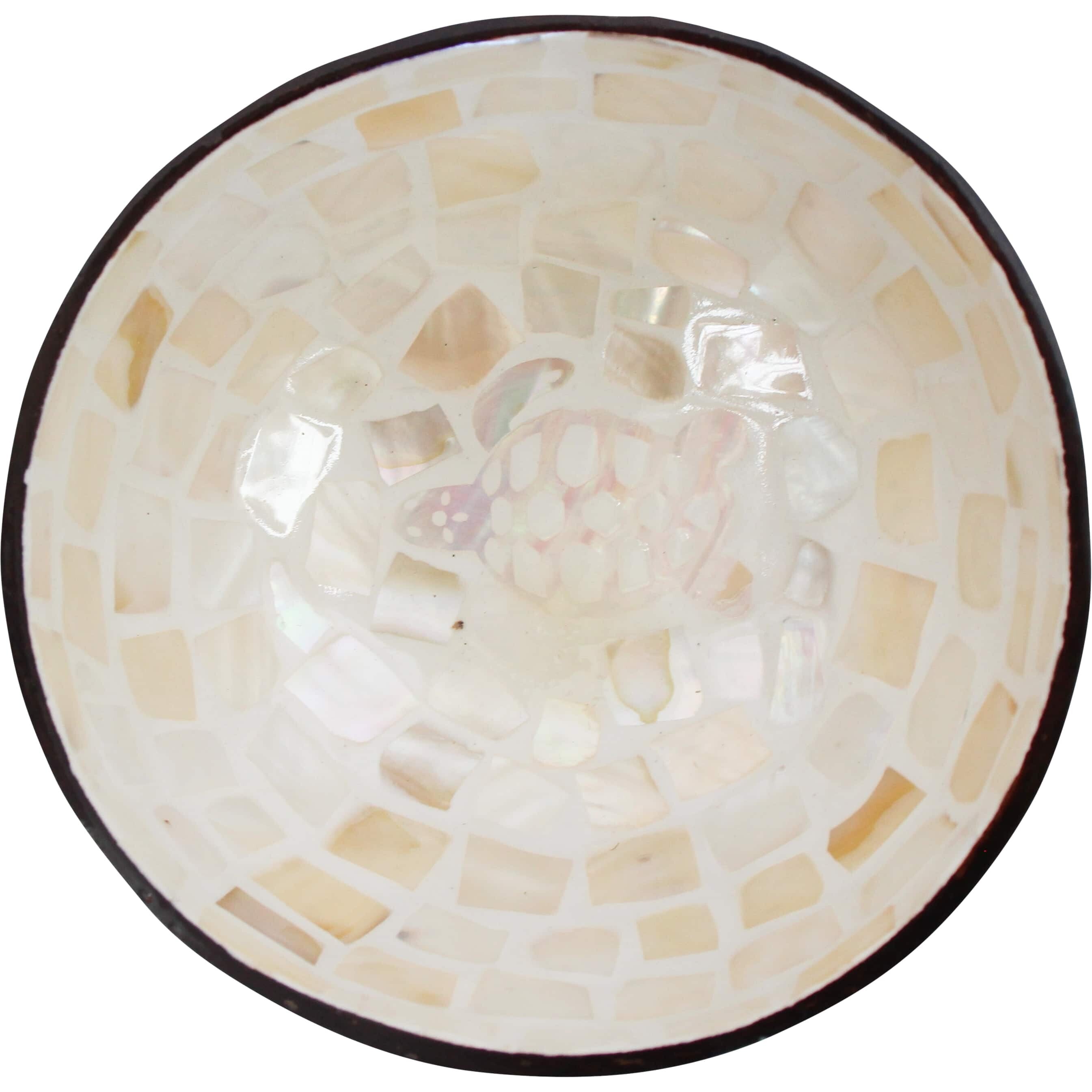 Coconut Bowl Turtle handmade with natural materials