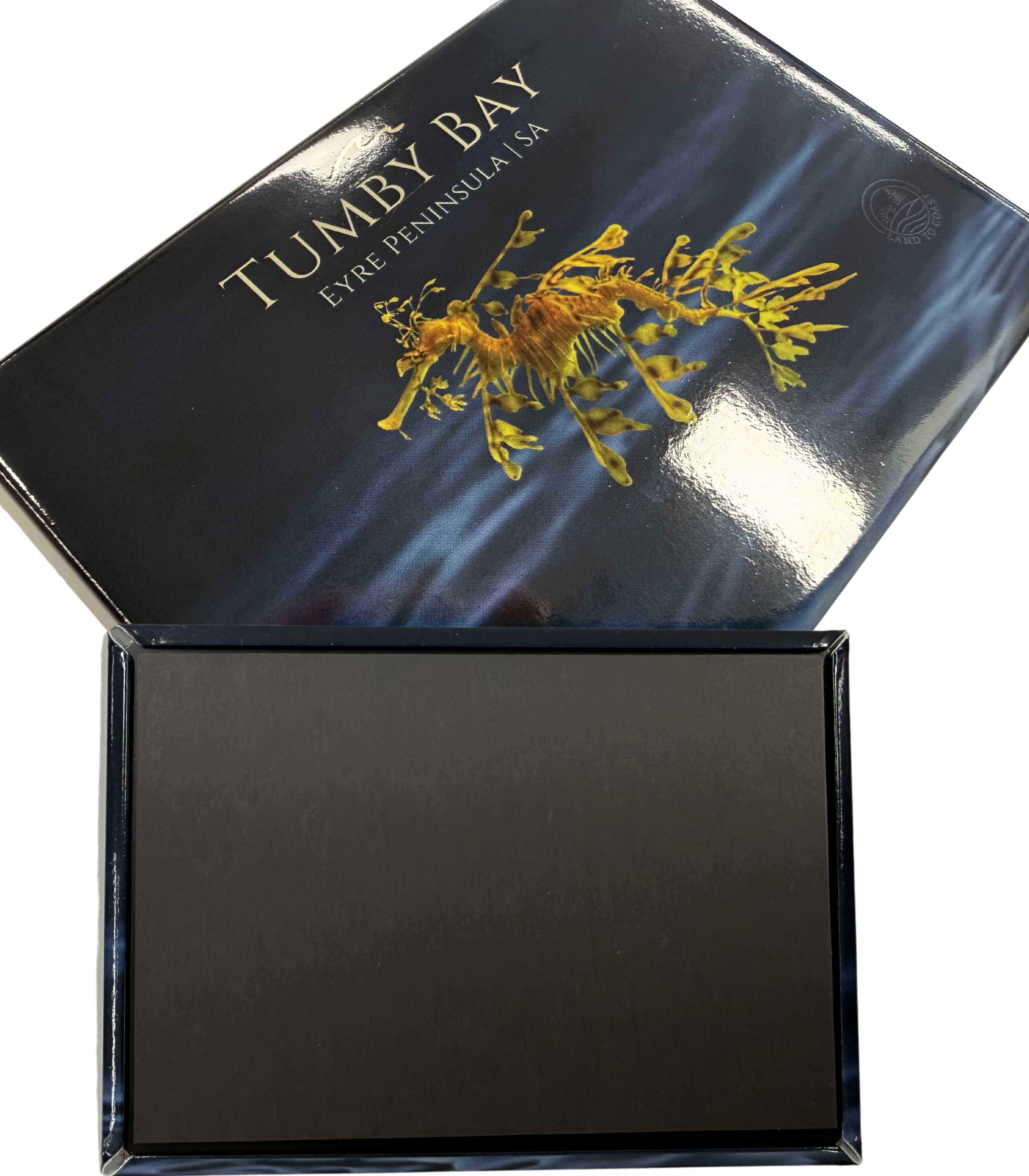 Tumby Bay Leafy Seadragon Souvenir Magnet – 90mm x 65mm