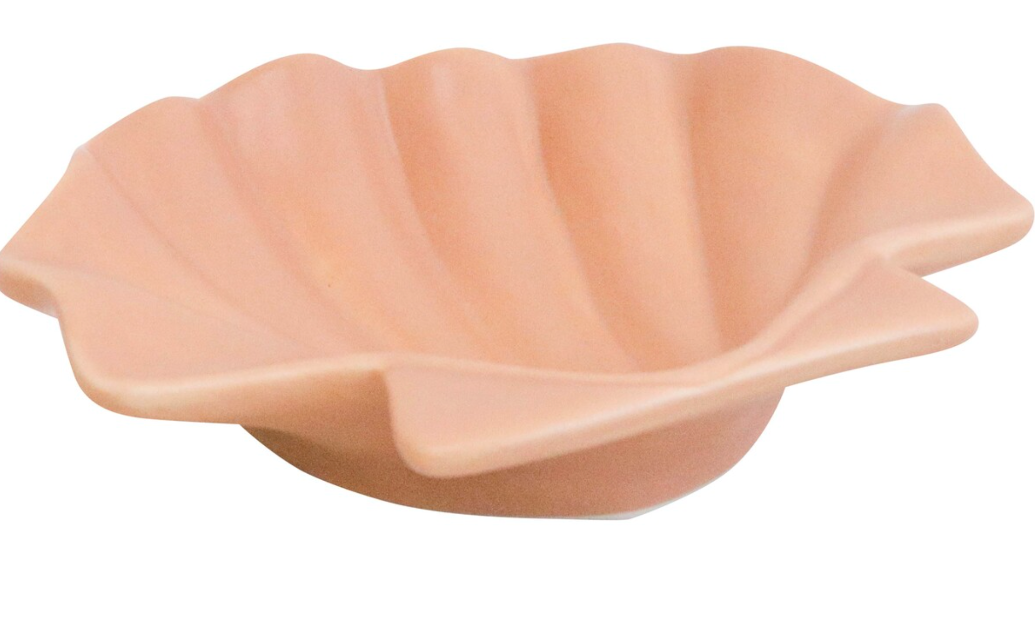 Shell Plate Tuscan Beach Coastal Ceramic Gift 17x14x4cm
