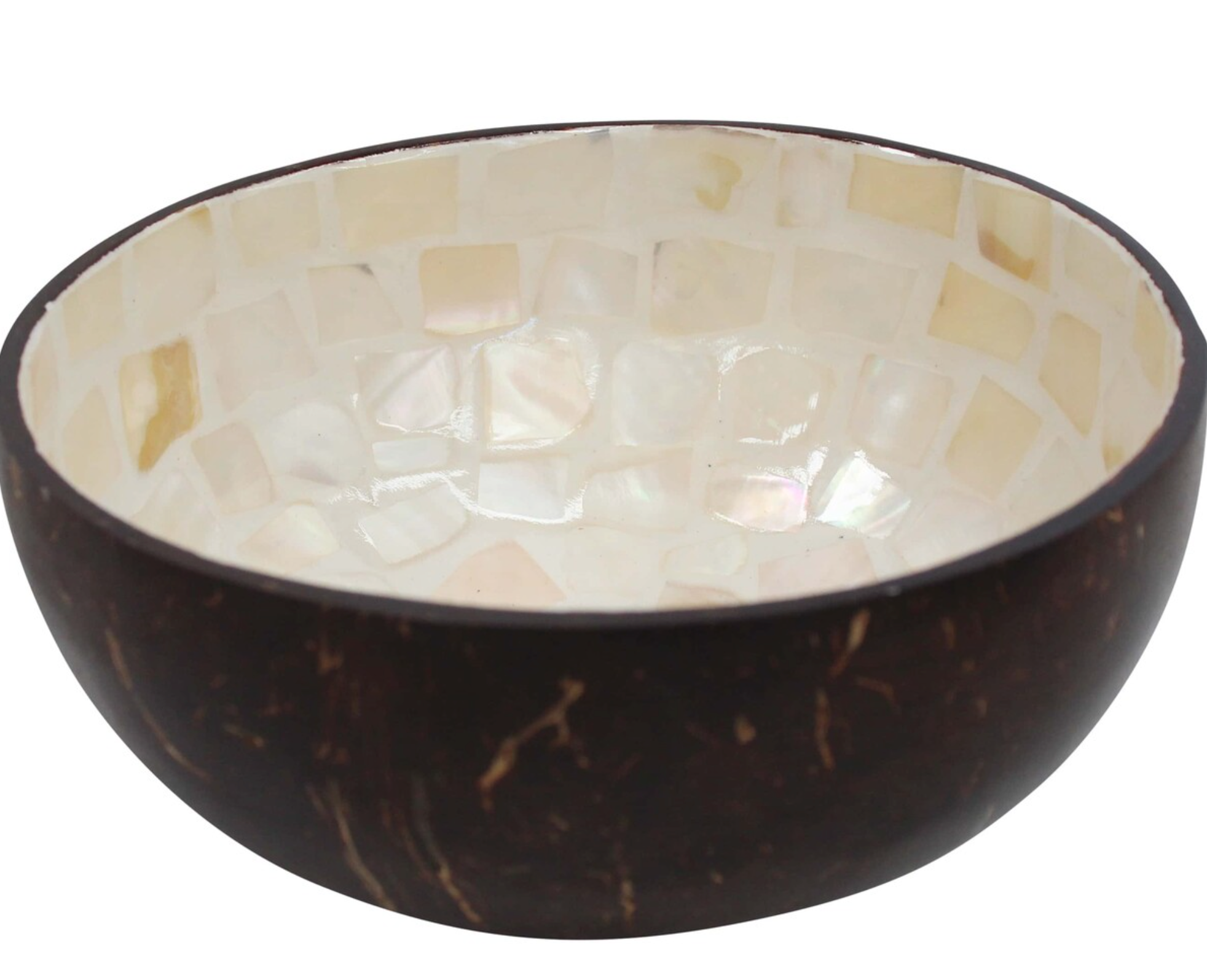 Coconut Bowl Turtle handmade with natural materials