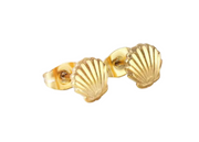 Sea Soul Home Clam Studs Stainless Steel Gold Plated Earrings PVD