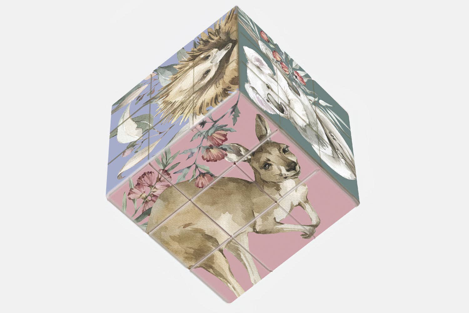 Art Cube - Aussie Animals - Land to Coast