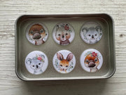AUSTRALIAN ANIMALS Magnets set of 6 in tin - Land to Coast