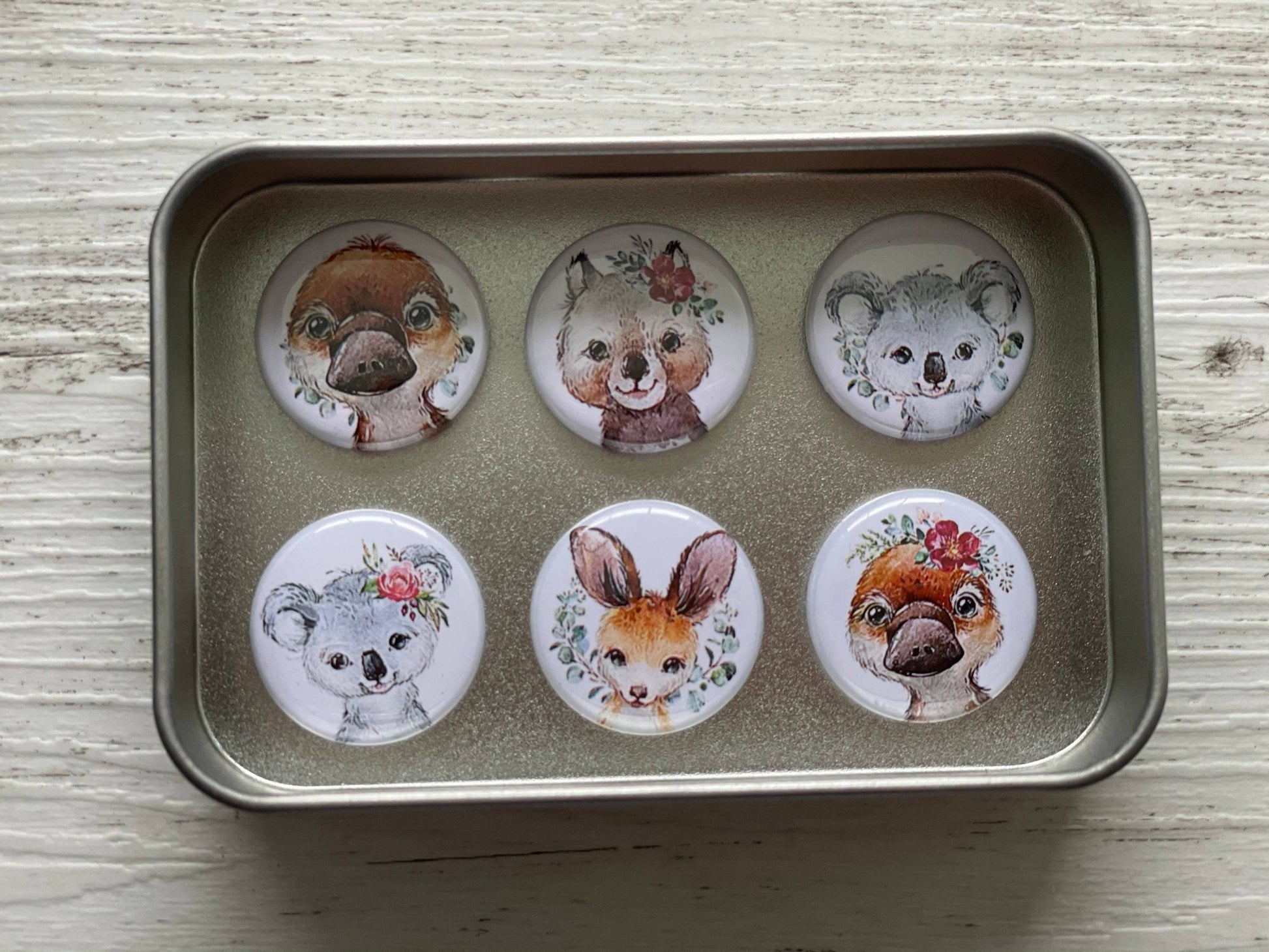 AUSTRALIAN ANIMALS Magnets set of 6 in tin - Land to Coast