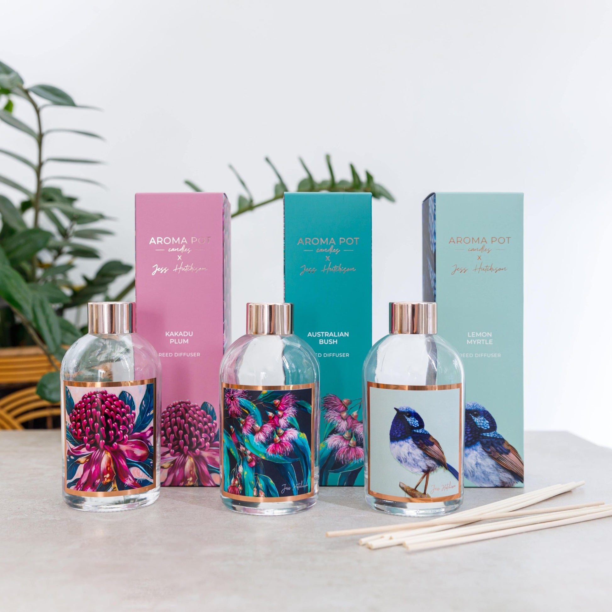 Australian artist reed diffuser | Australian bush | 200ml - Land to Coast