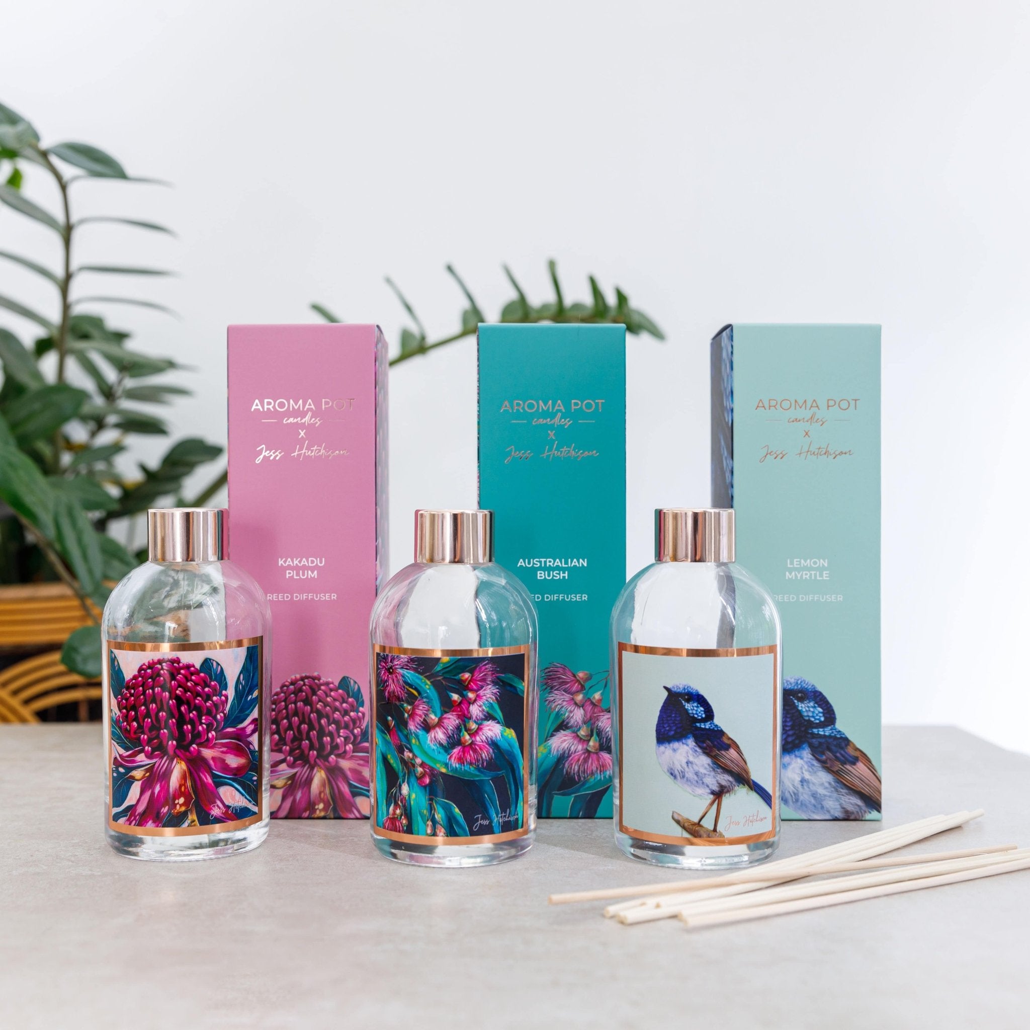 Australian artist reed diffuser | Australian bush | 200ml - Land to Coast