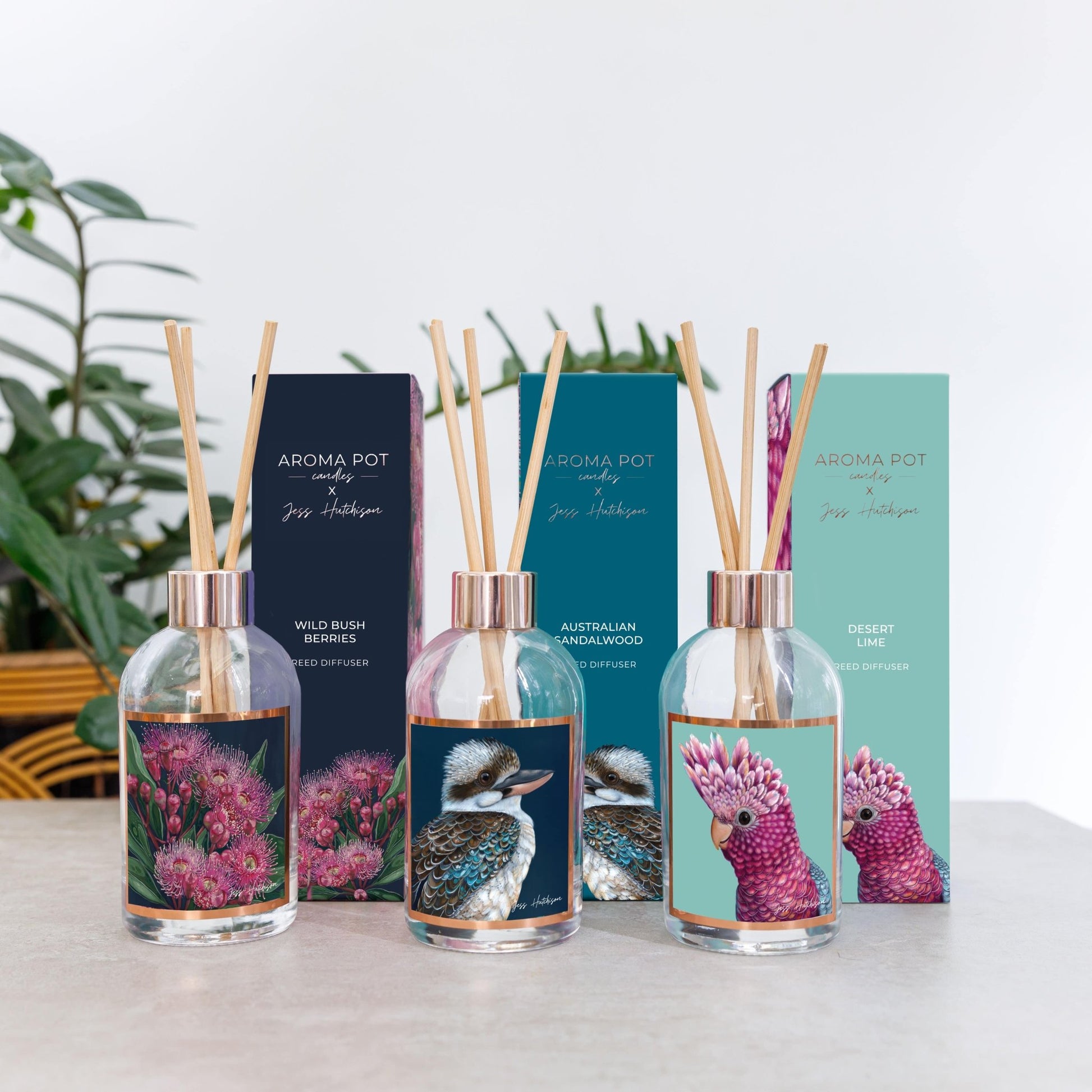 Australian artist reed diffuser | Australian Sandalwood | 200ml - Land to Coast