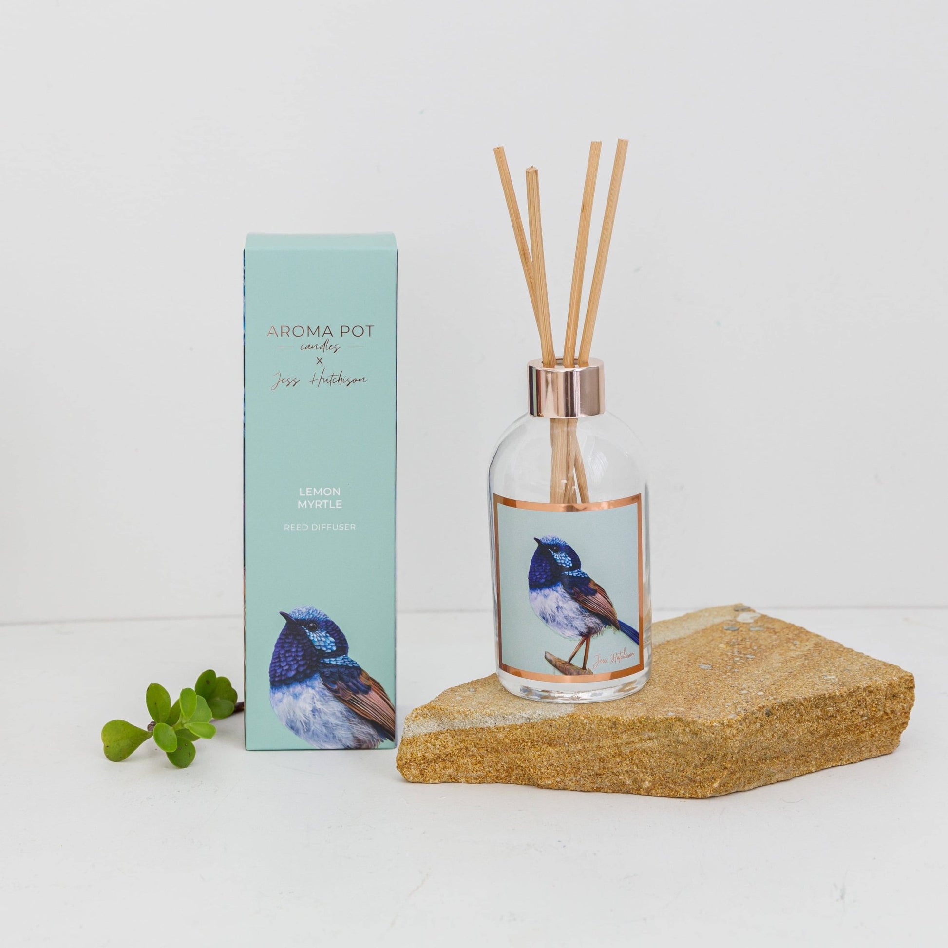 Australian artist reed diffuser | lemon myrtle | 200ml - Land to Coast