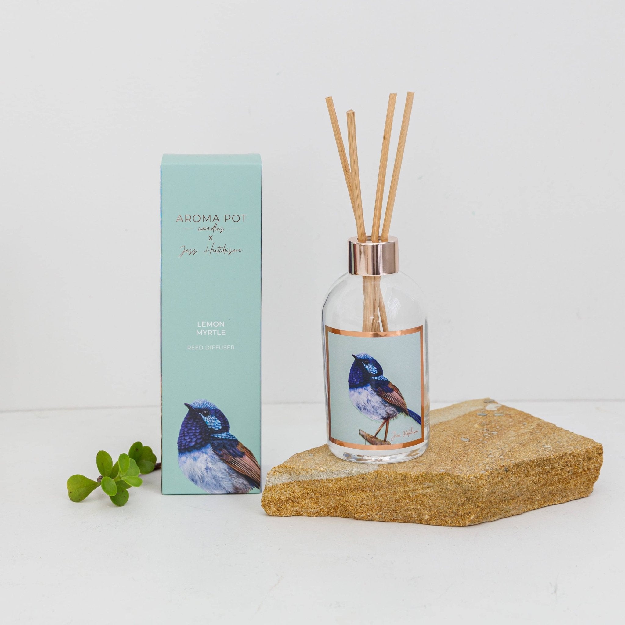Australian artist reed diffuser | lemon myrtle | 200ml - Land to Coast