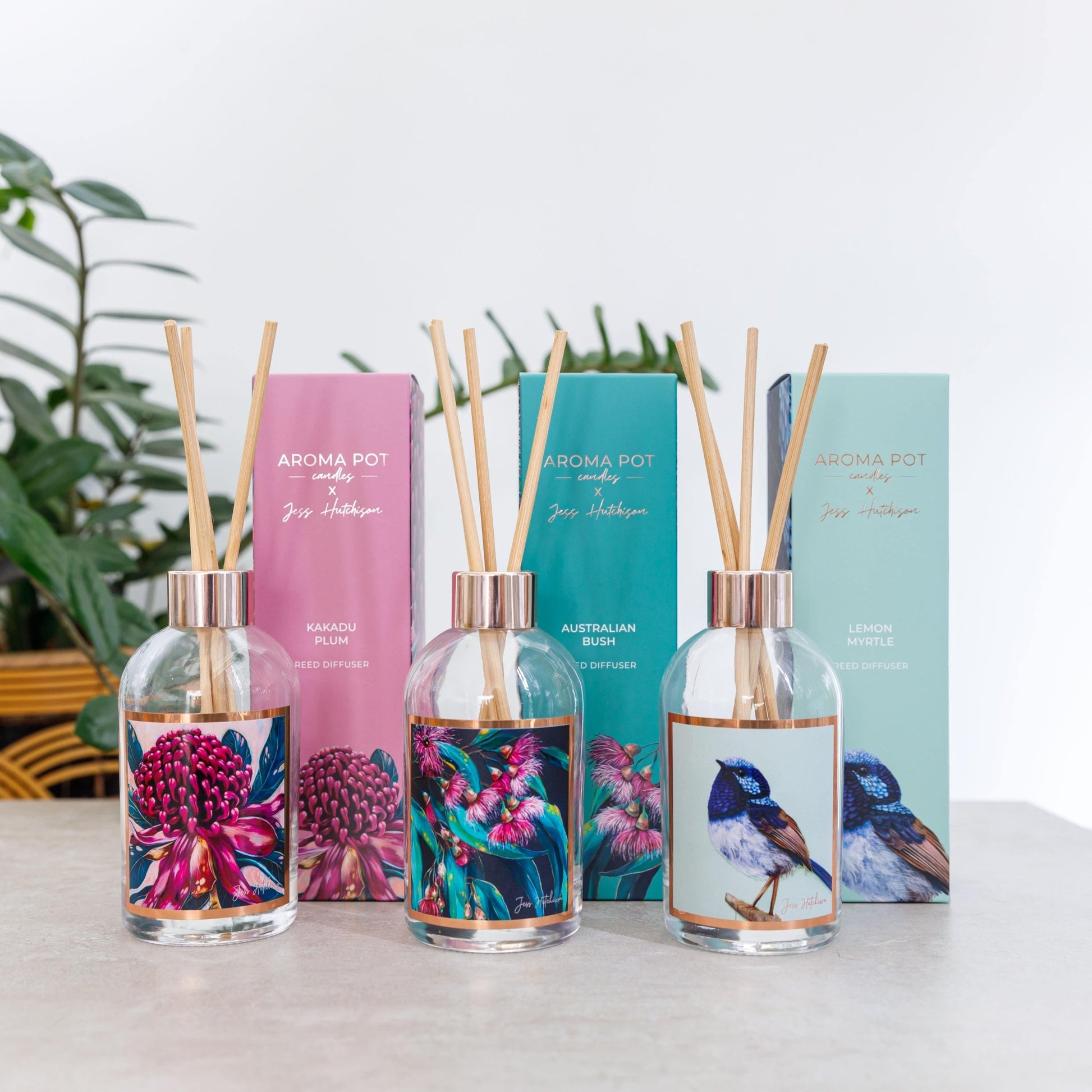 Australian artist reed diffuser | lemon myrtle | 200ml - Land to Coast