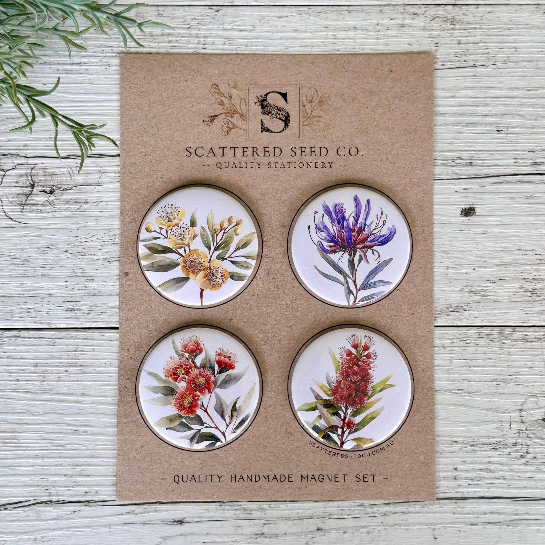 AUSTRALIAN FLORALS Large Magnets set of 4 - SET B - Land to Coast
