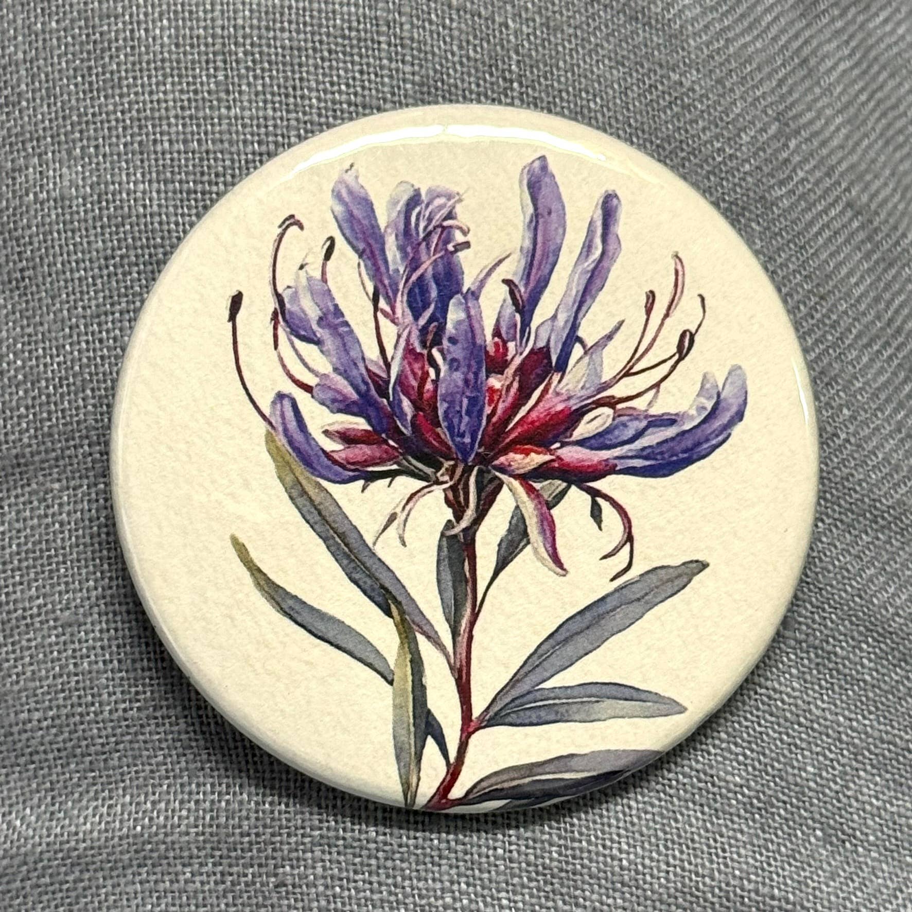 AUSTRALIAN FLORALS Large Magnets set of 4 - SET B - Land to Coast