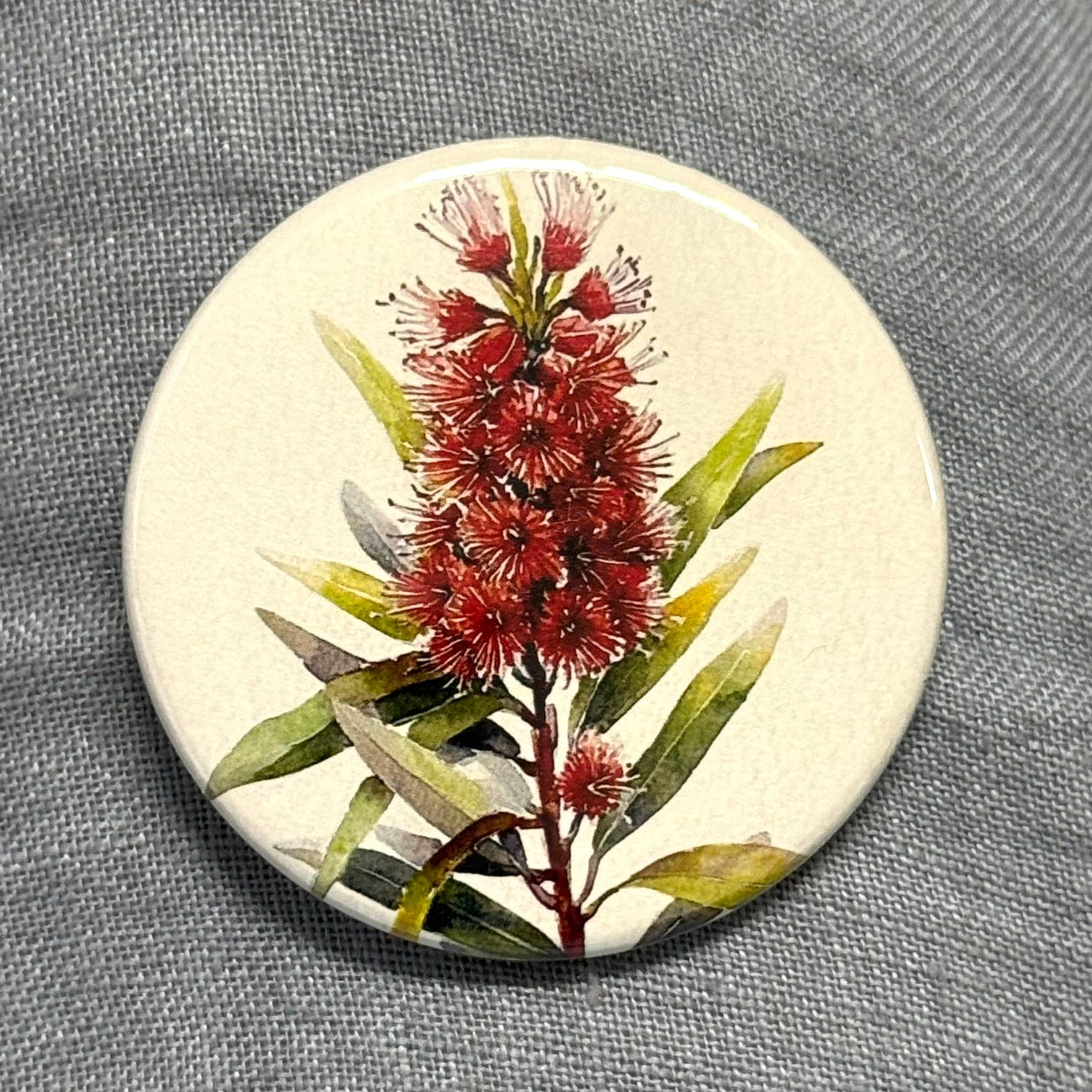 AUSTRALIAN FLORALS Large Magnets set of 4 - SET B - Land to Coast