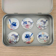 Blue Fairy Wren Magnets set of 6 in tin - Land to Coast