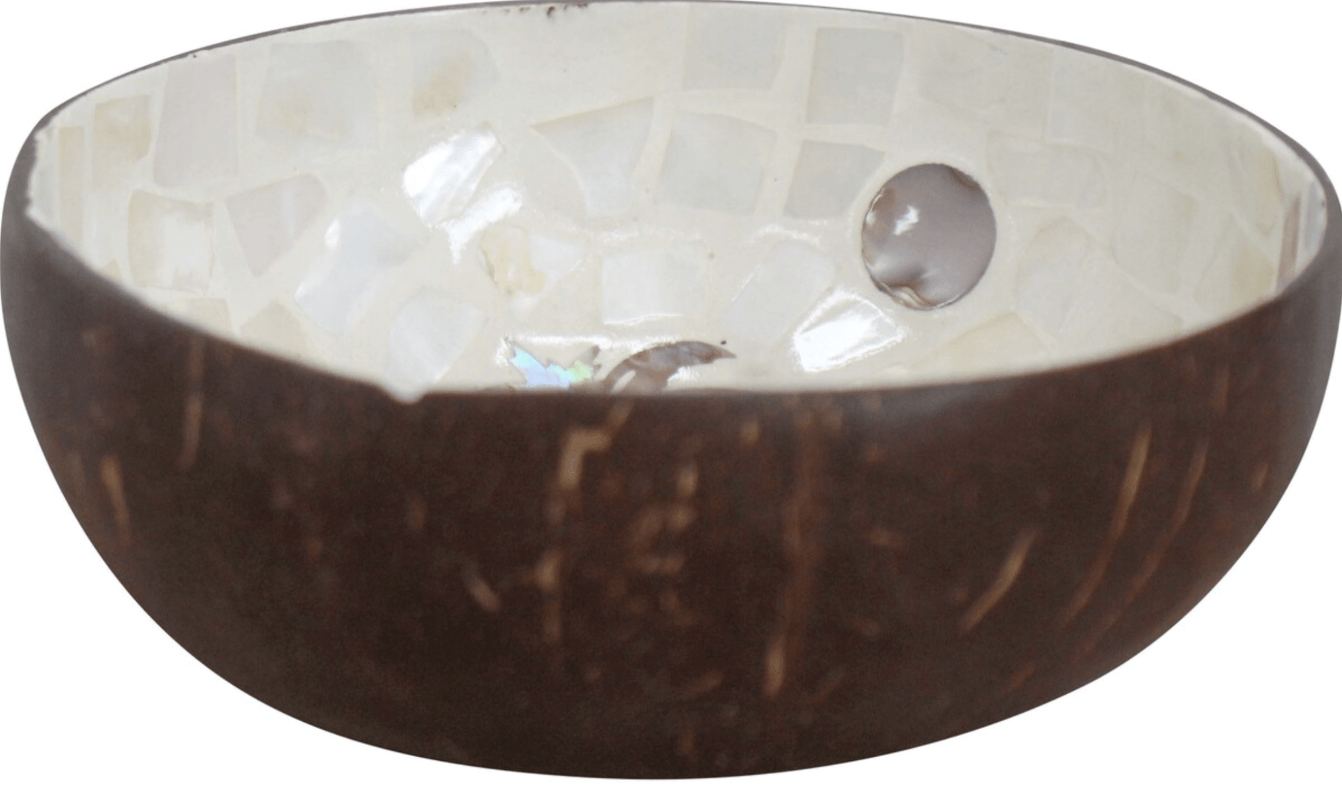 Coconut Bowl Bali Hi - Land to Coast