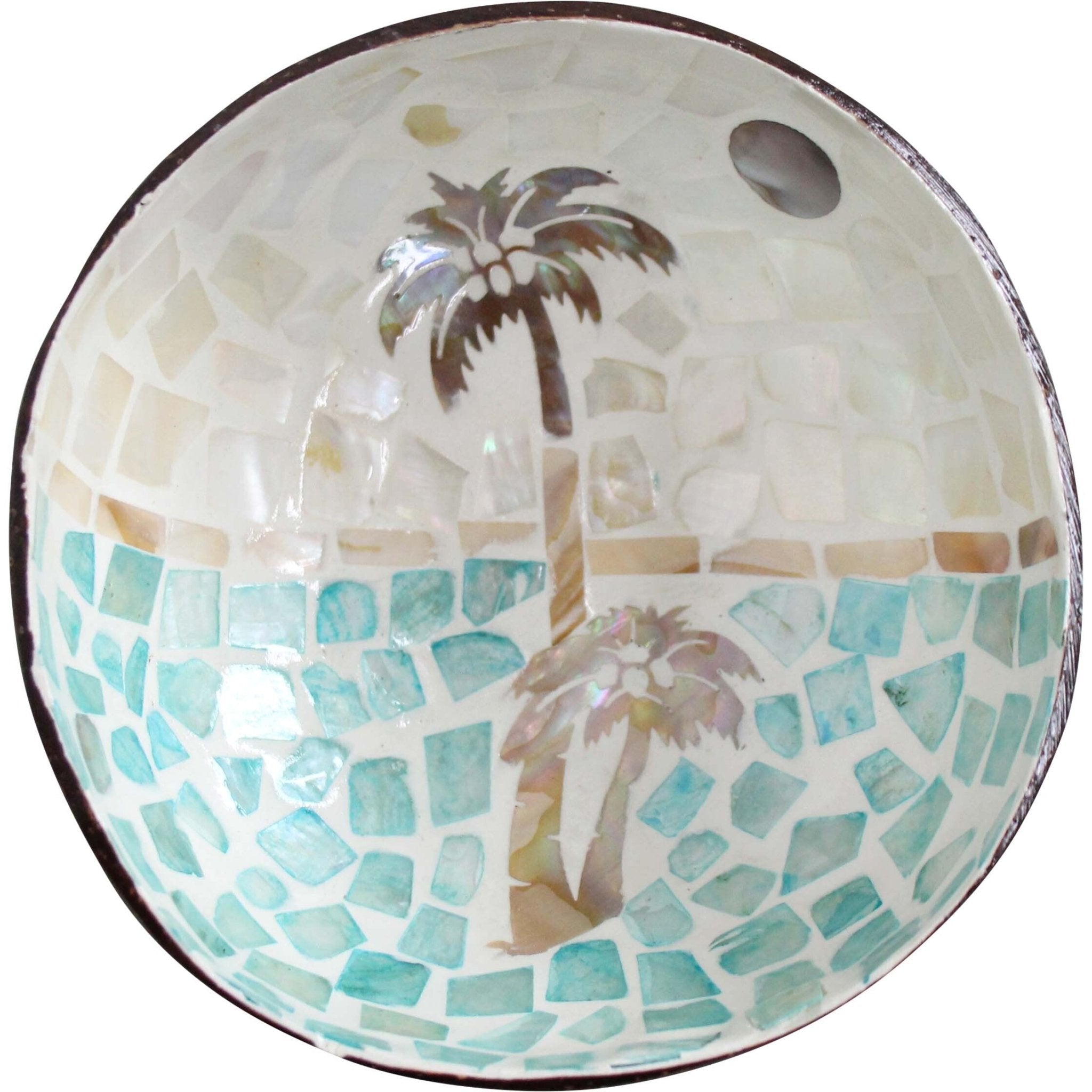 Coconut Bowl Bali Hi - Land to Coast