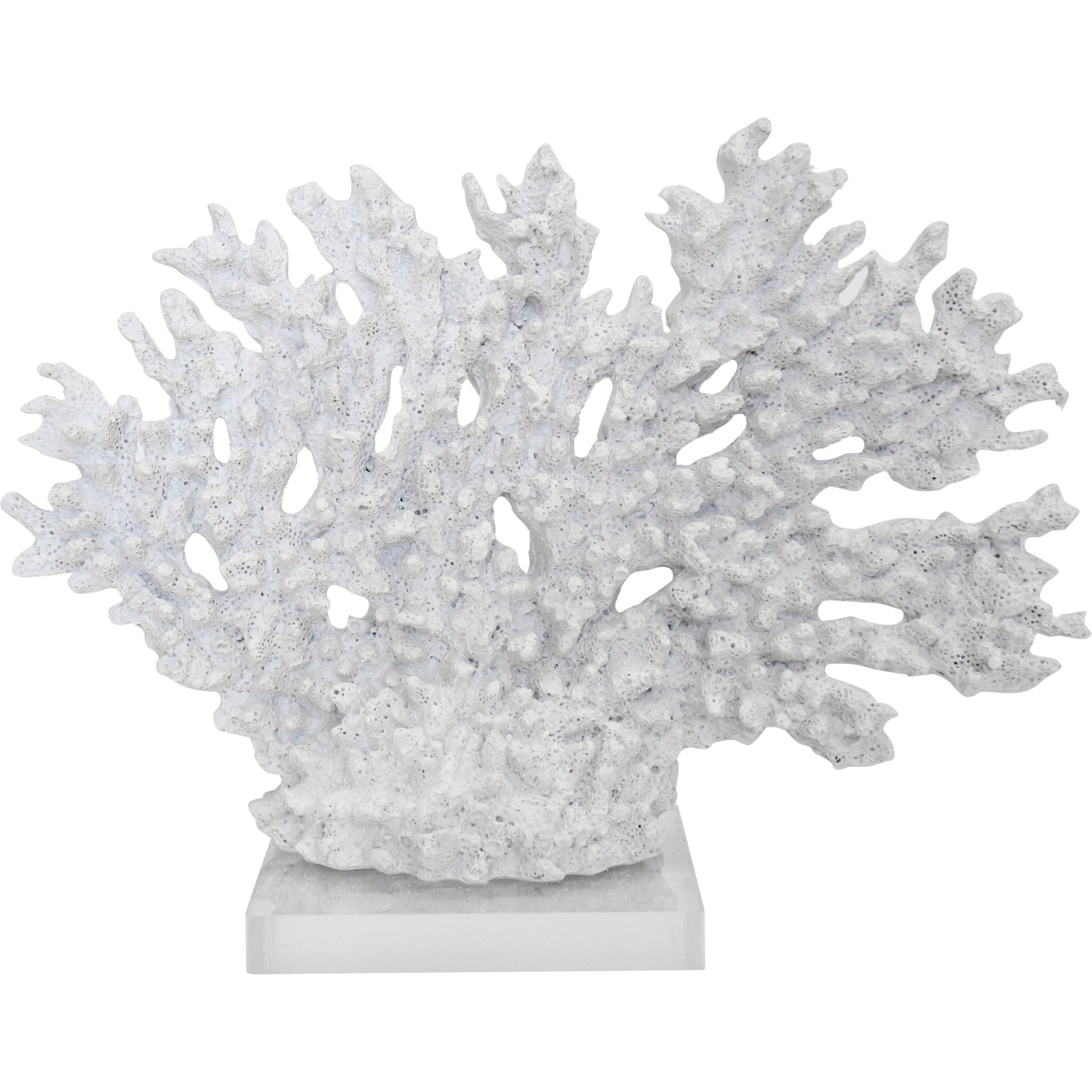 Coral Branches White - Land to Coast