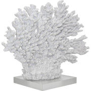 Coral Branches White - Land to Coast
