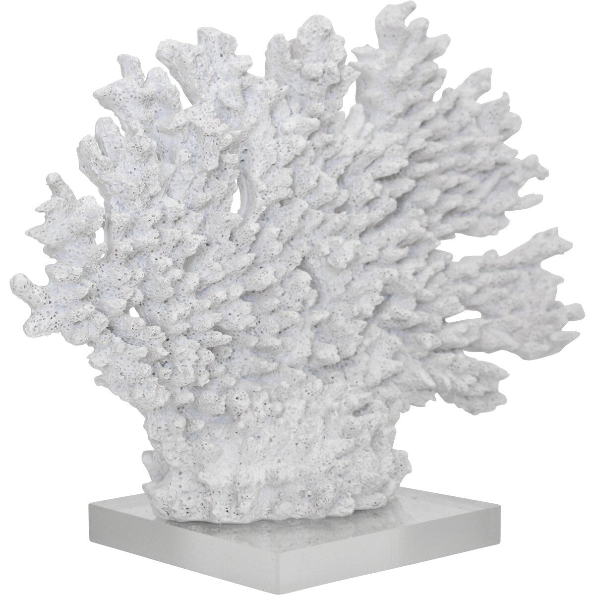 Coral Branches White - Land to Coast