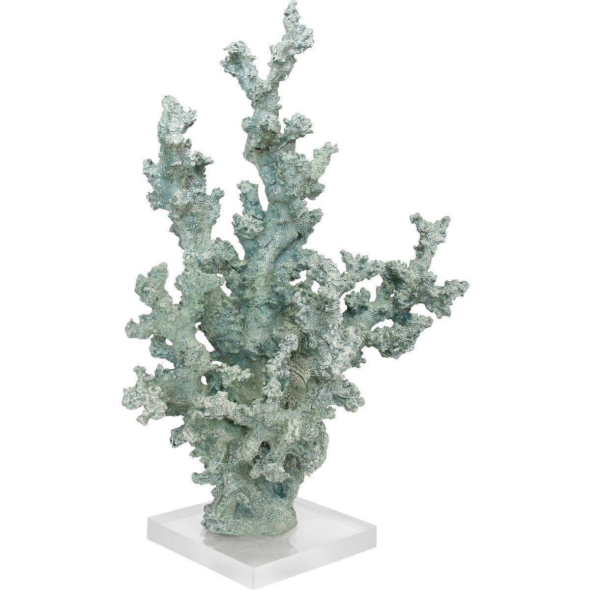Coral Medina Sea - Land to Coast