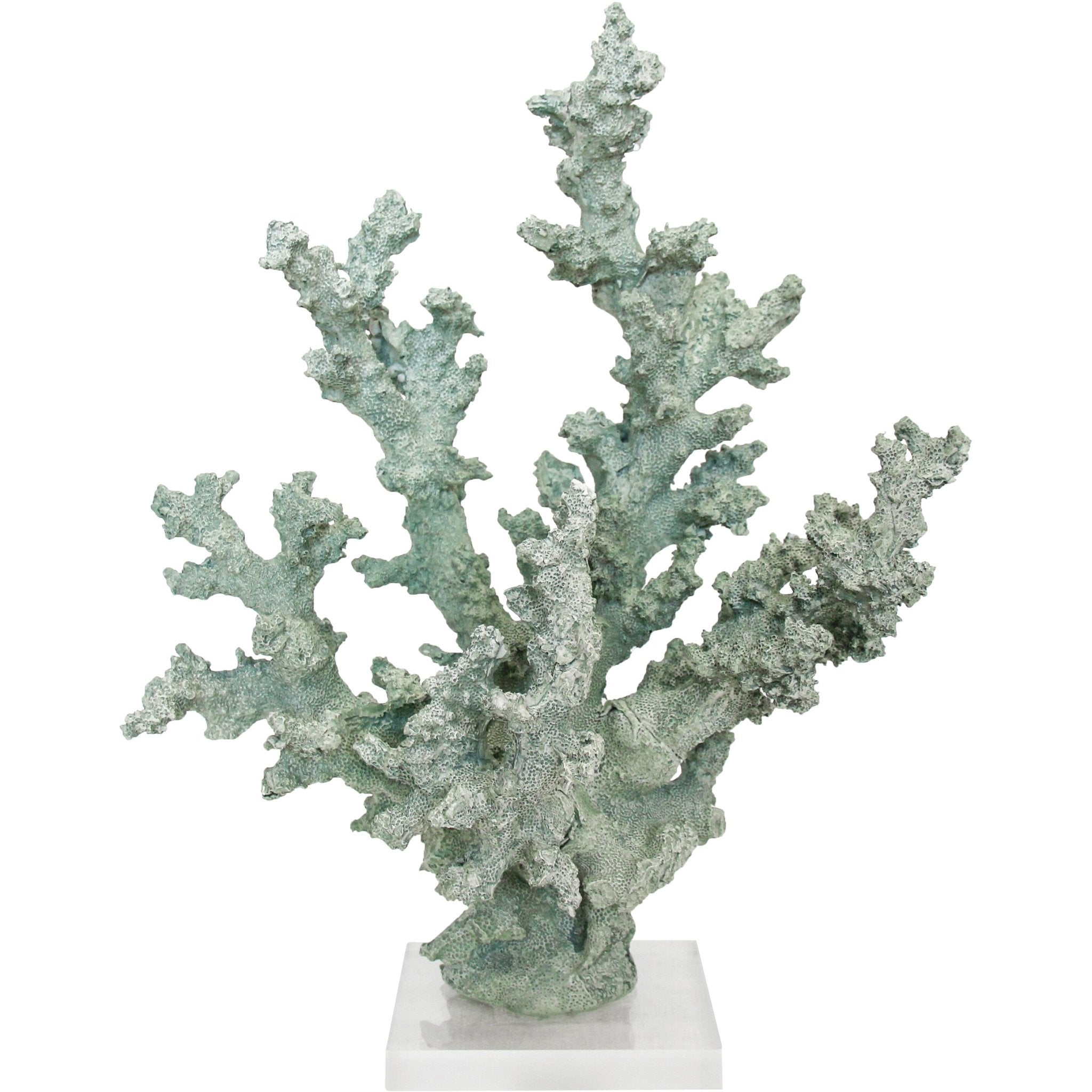 Coral Medina Sea - Land to Coast