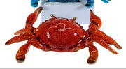 CRABMAR Crab - Land to Coast