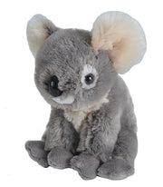 Cuddlekins Eco Koala Stuffed Animal - 8" - Land to Coast