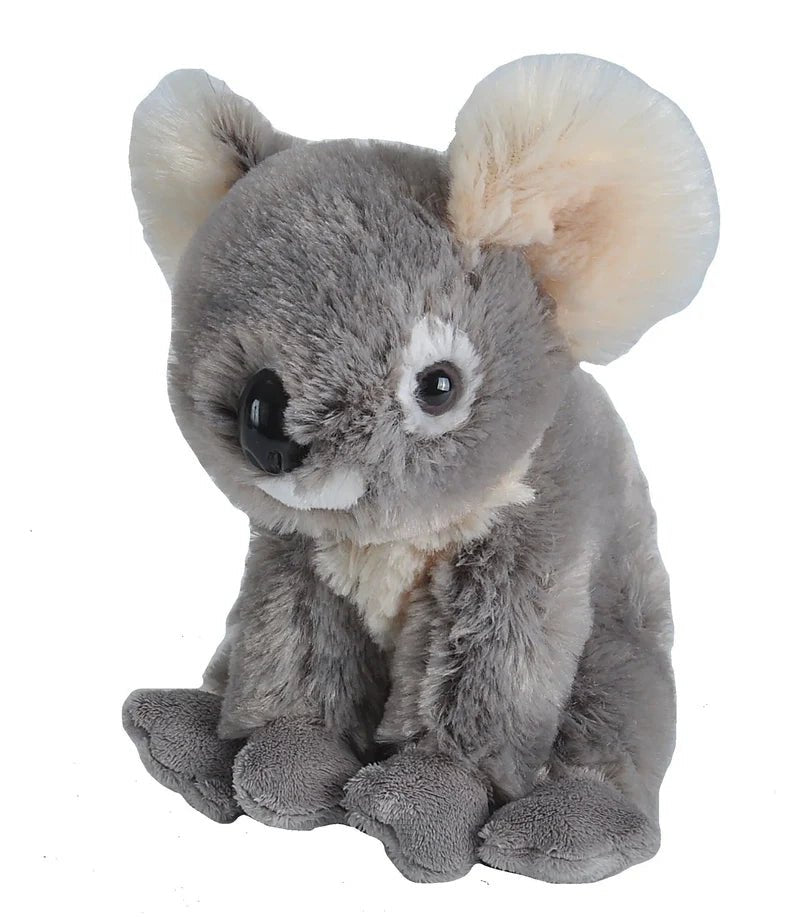 Cuddlekins Eco Koala Stuffed Animal - 8" - Land to Coast