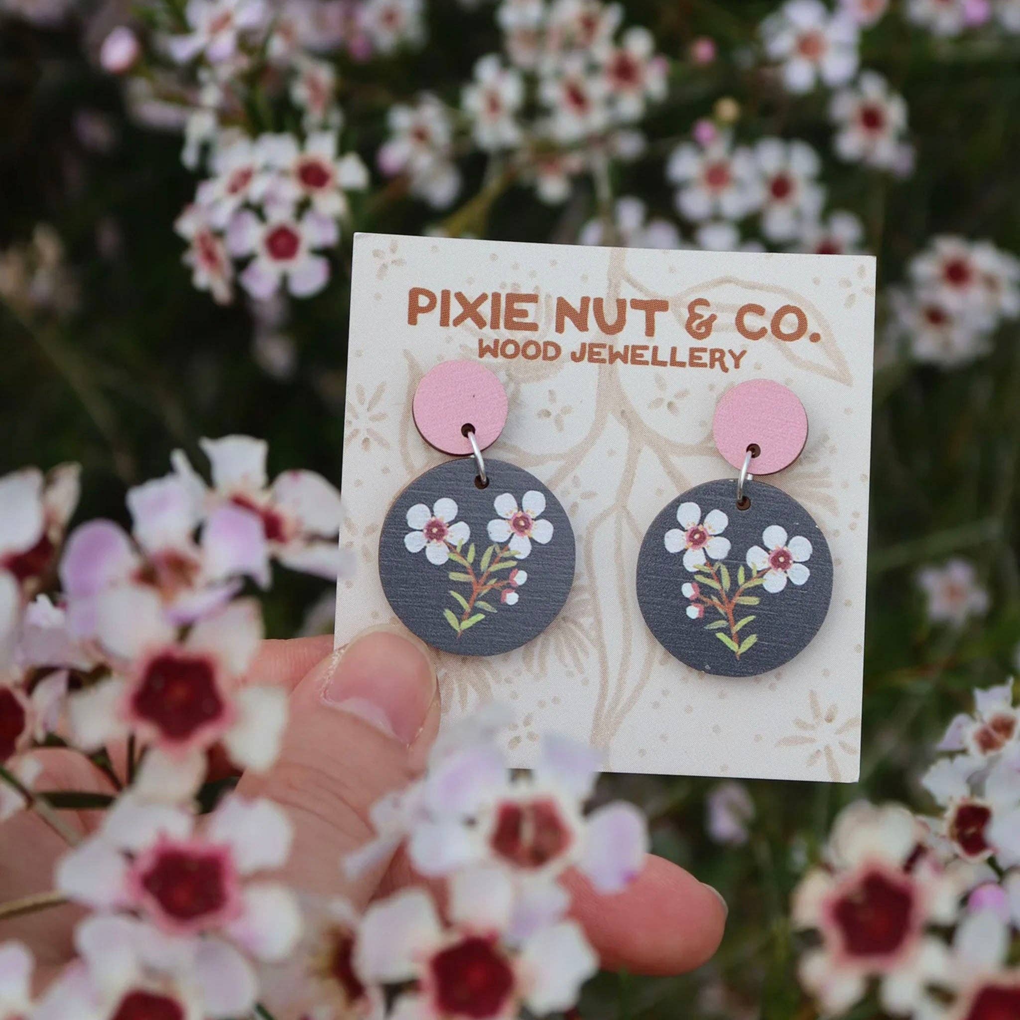 Geraldton Wax Australian Wildflower Earrings - Land to Coast