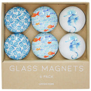 Glass Magnets S/6 Seahorse - Land to Coast