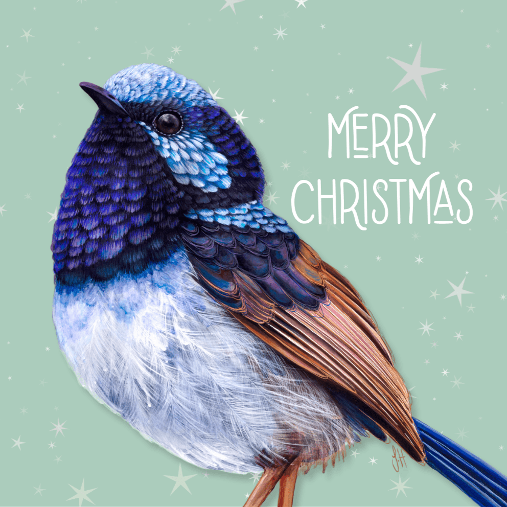 Jess Hutchison Christmas card | Fairy Wren | Merry Christmas - Land to Coast