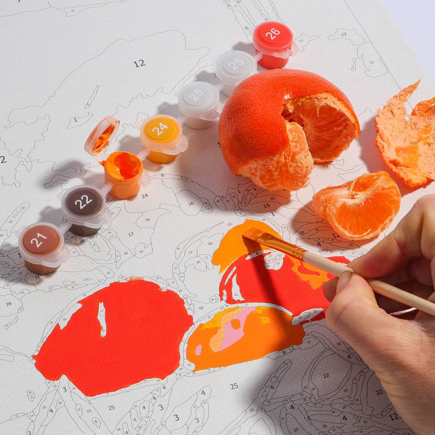 Journey Of Something Bowl of Oranges Paint by Numbers Kit HBM01511 - Land to Coast