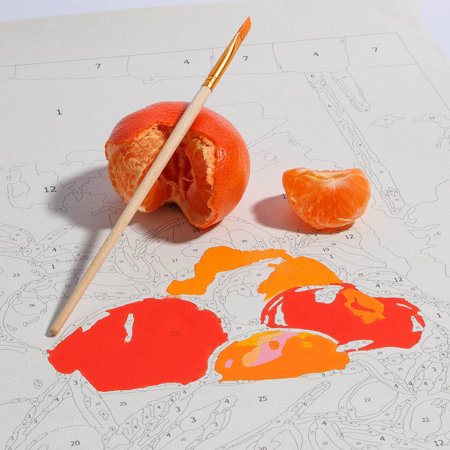 Journey Of Something Bowl of Oranges Paint by Numbers Kit HBM01511 - Land to Coast