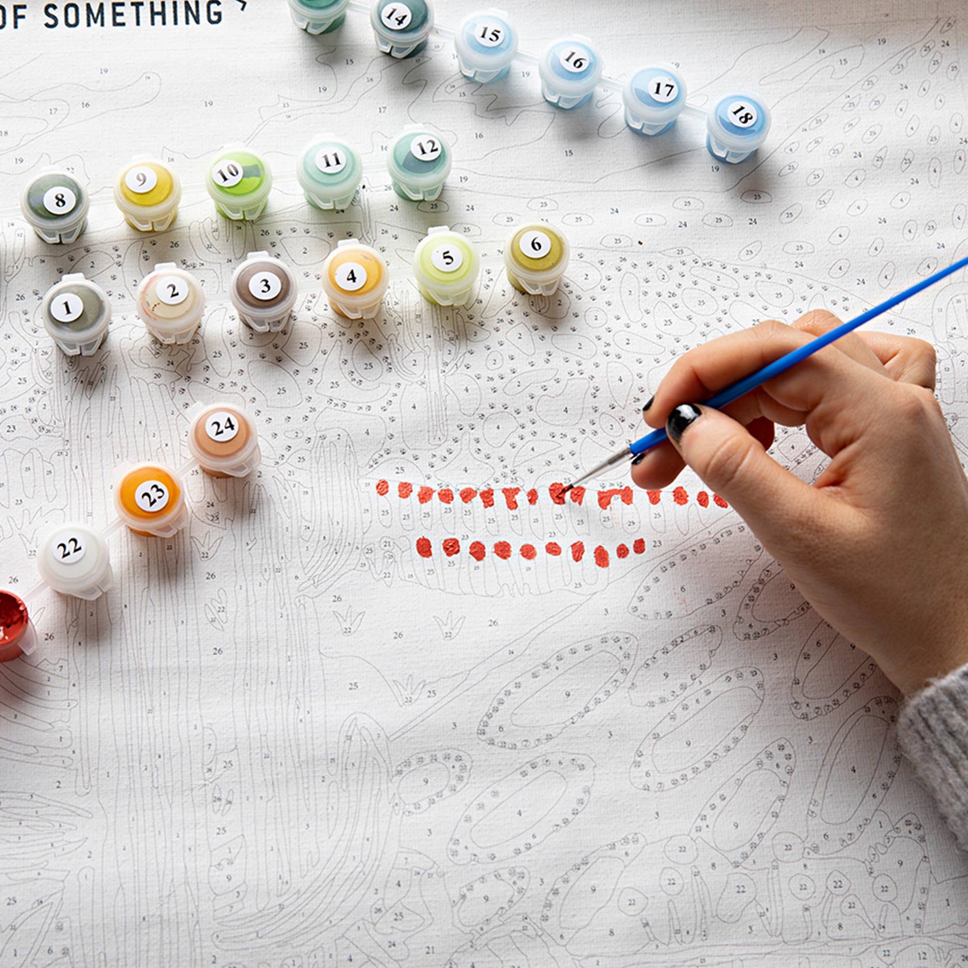 Journey Of Something Paint by Numbers Cactus Valley for Adults PAN‑JS‑5 - Land to Coast