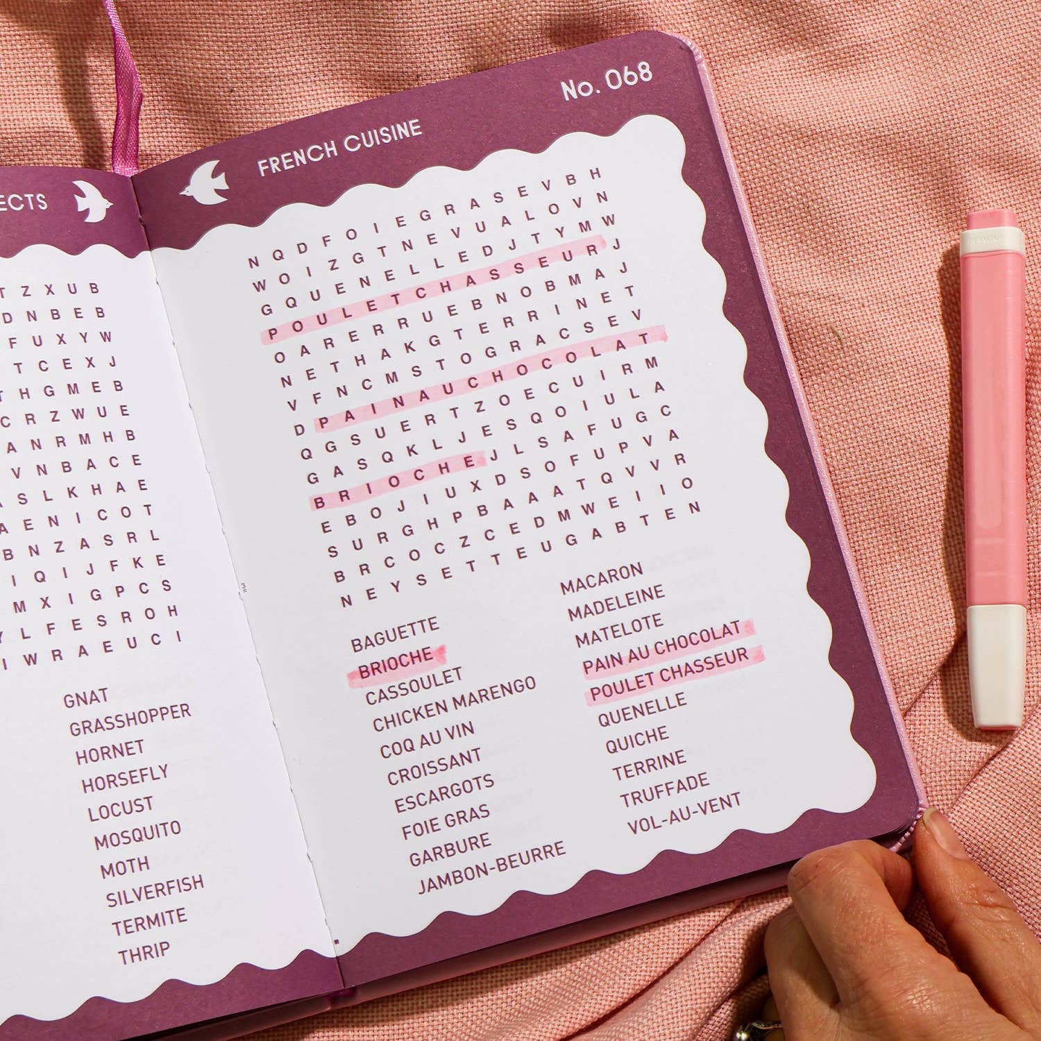 Journey Of Something Word Search Puzzle Book Pink Abstract HST03367 - Land to Coast