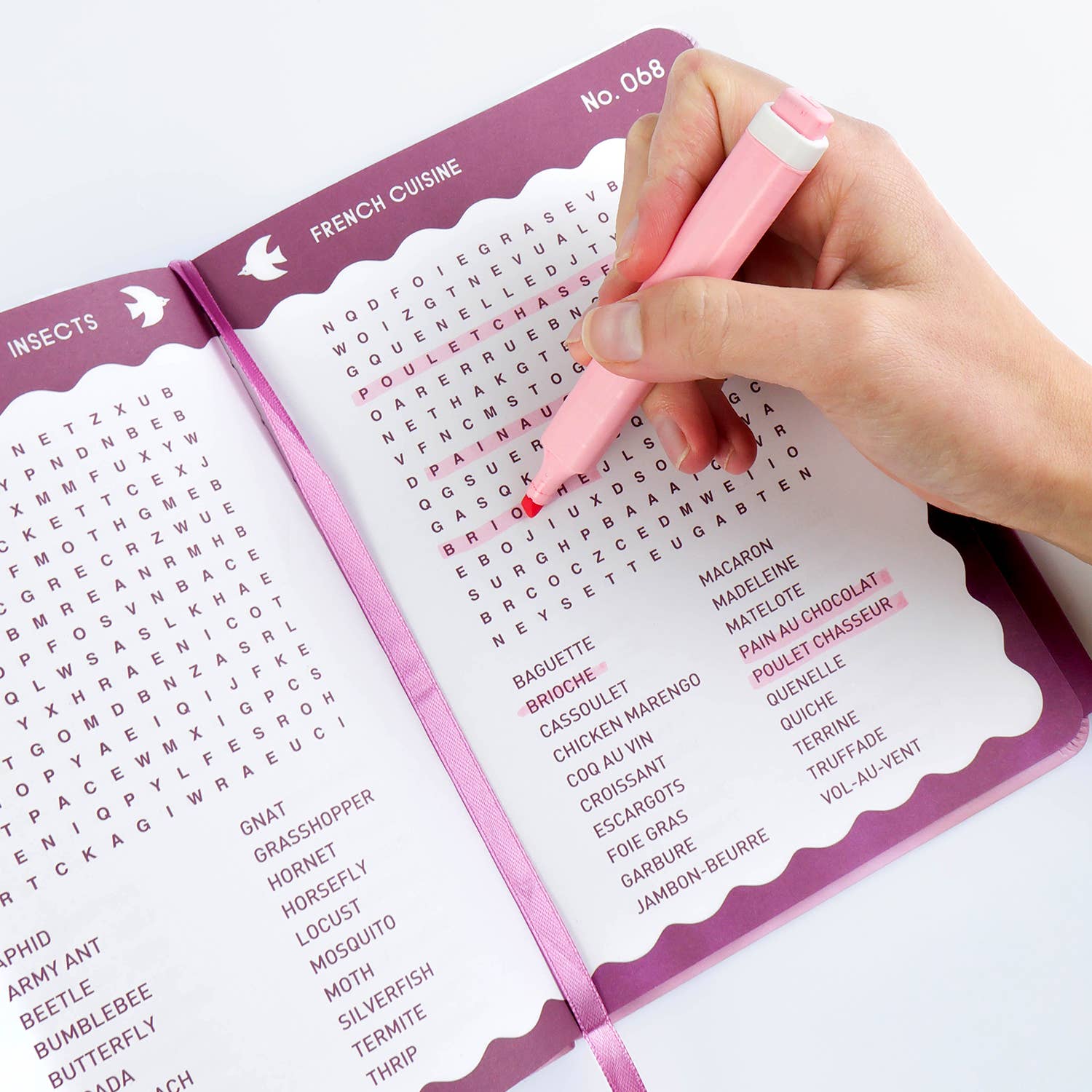 Journey Of Something Word Search Puzzle Book Pink Abstract HST03367 - Land to Coast