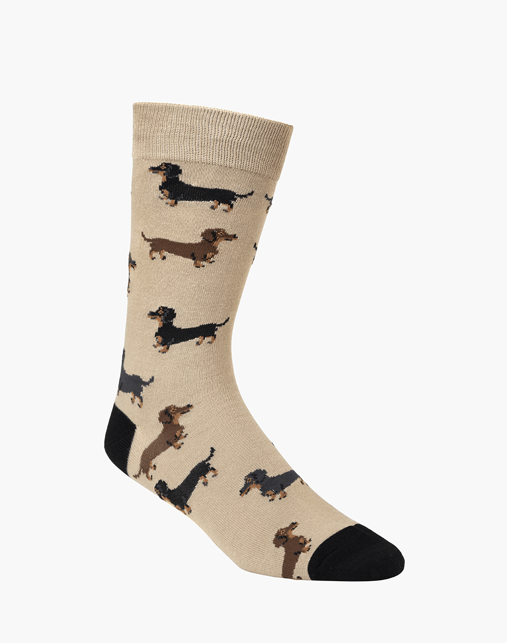 MENS DASH PUPS BAMBOO SOCK - Land to Coast
