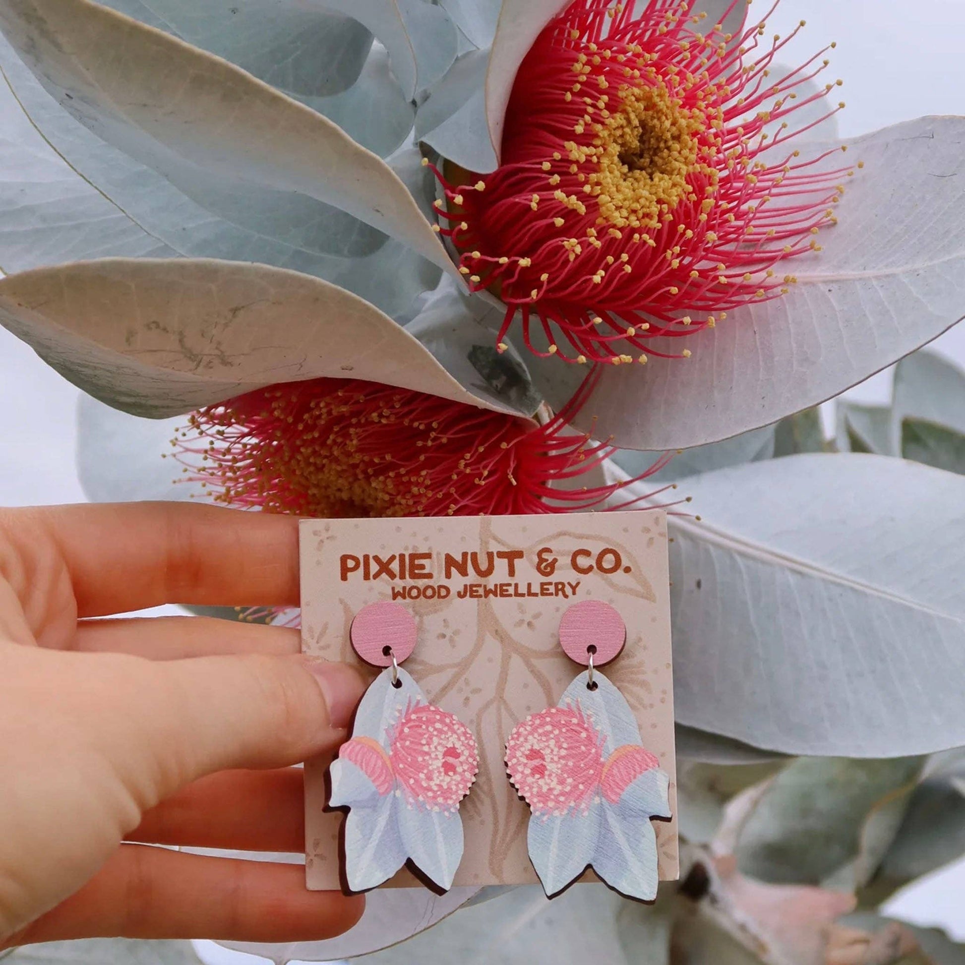 Mottlecah Australian Wildflower Earrings - Land to Coast