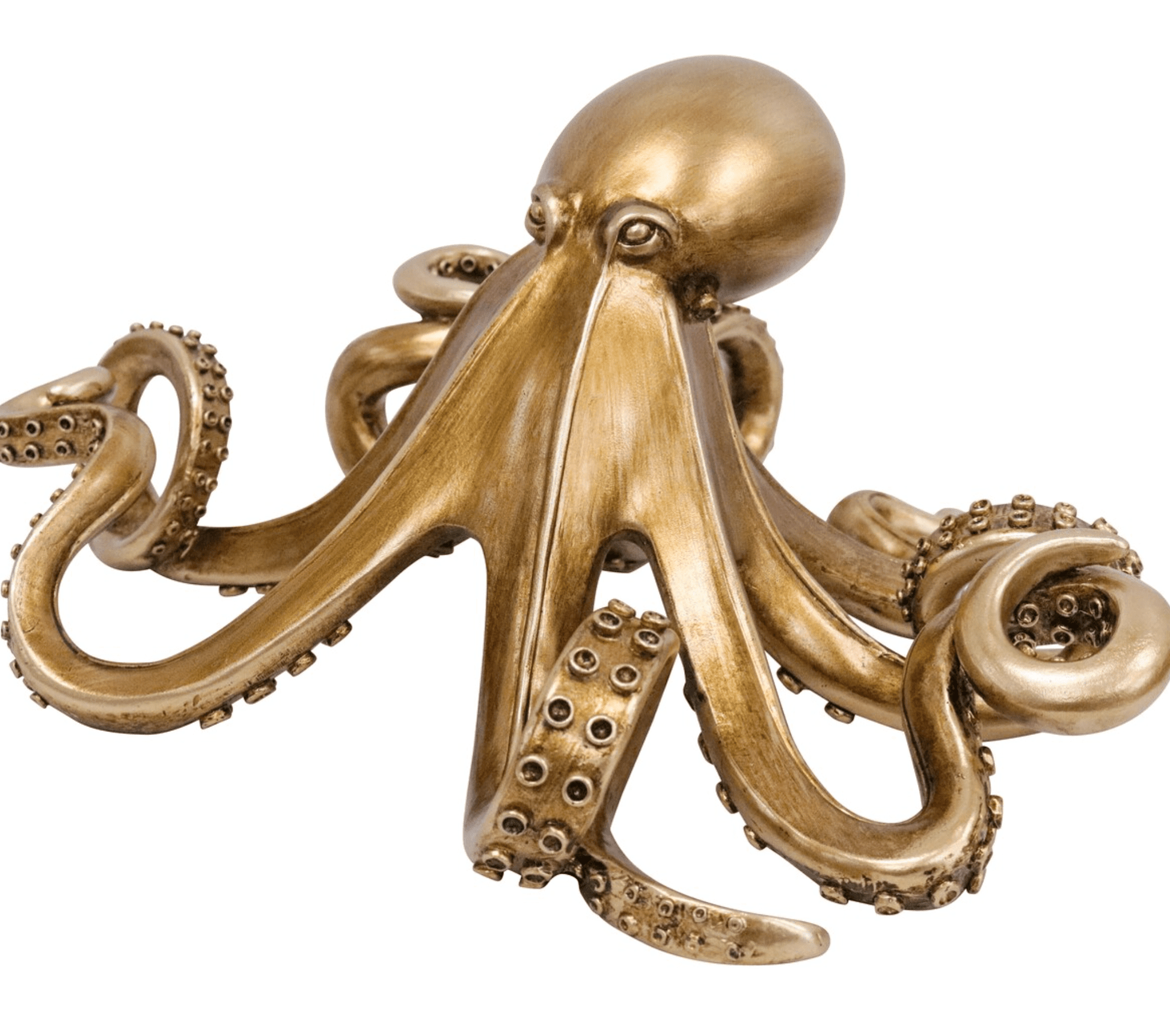 Octopus Gold - Land to Coast