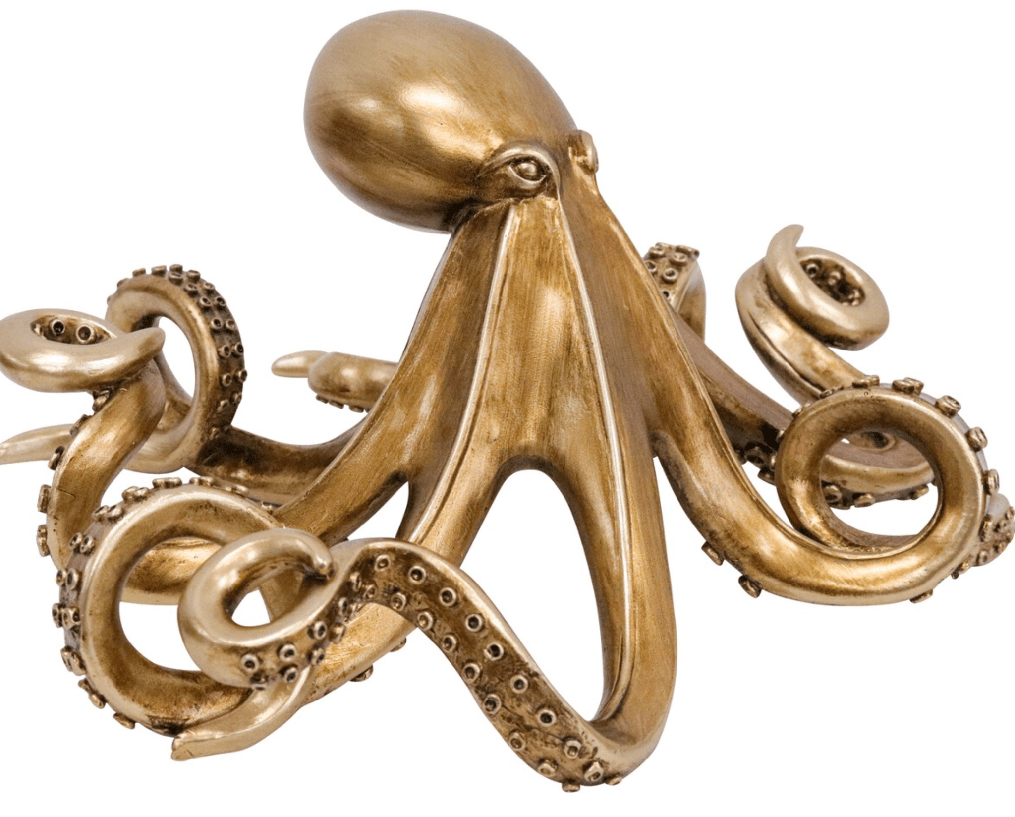 Octopus Gold - Land to Coast