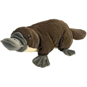 Platypus Stuffed Animal - 12" - Land to Coast
