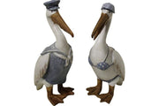 S/2 Pelicans - Land to Coast