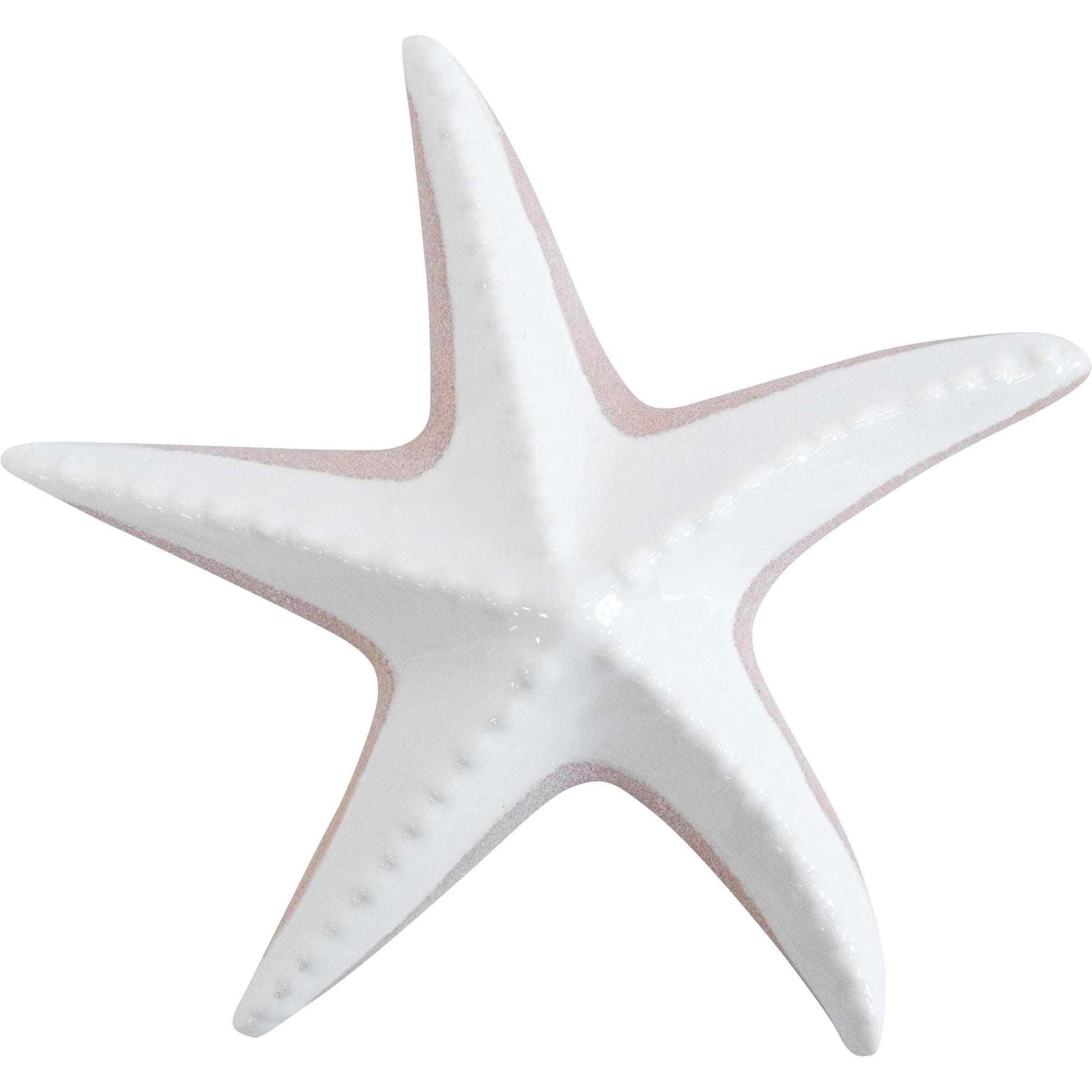 Starfish Organic Med - Land to Coast