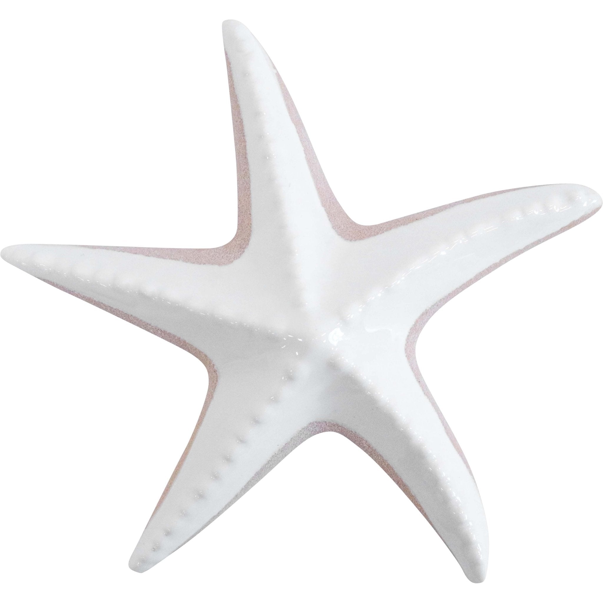 Starfish Organic Med - Land to Coast